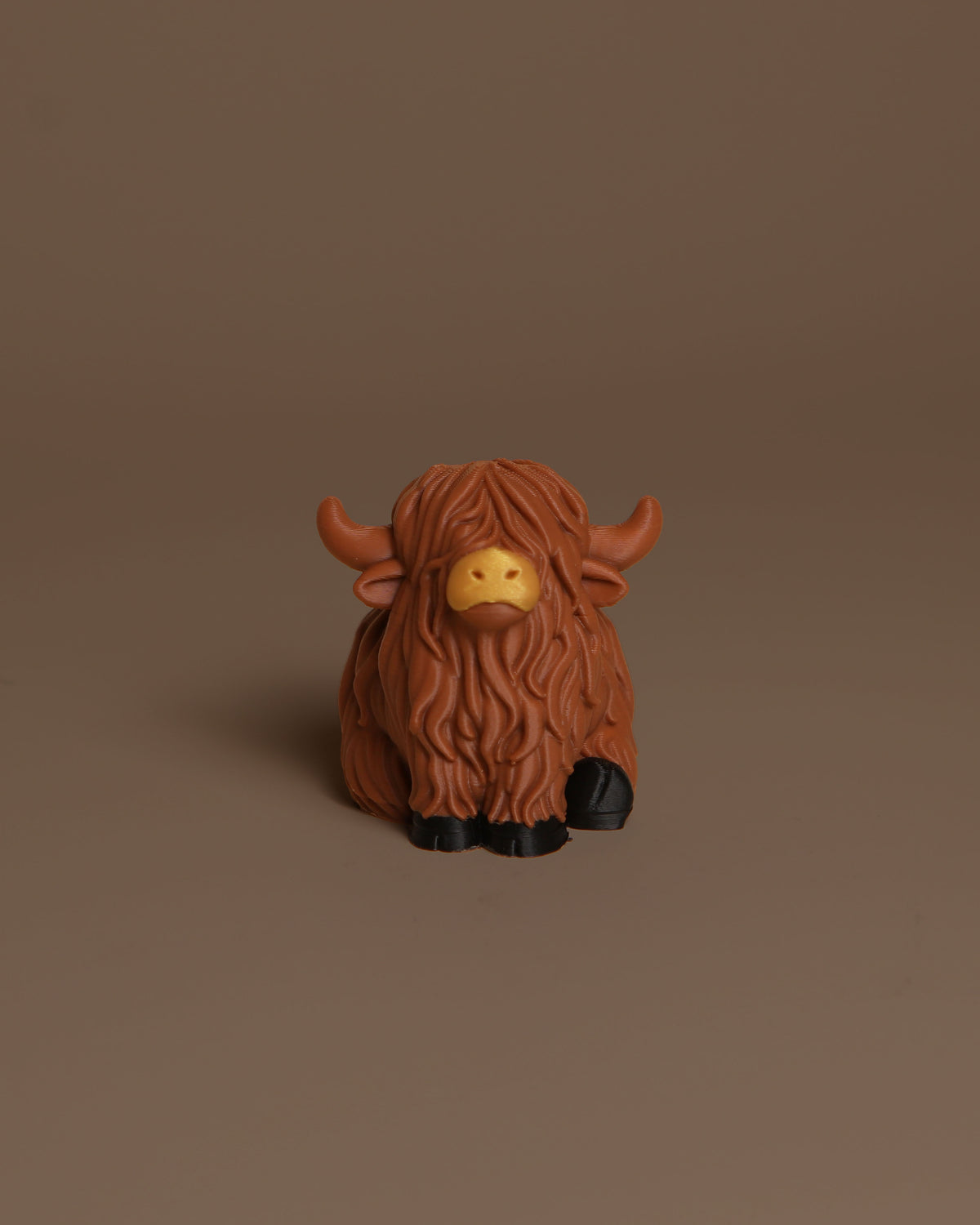 highland cow