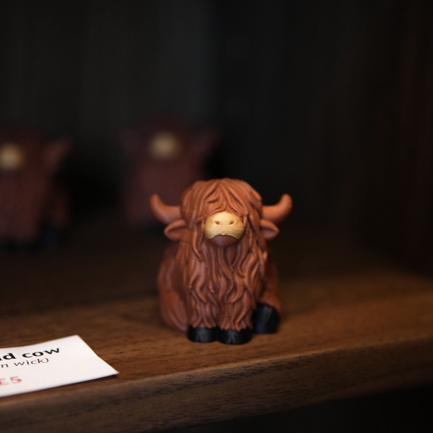 highland cow